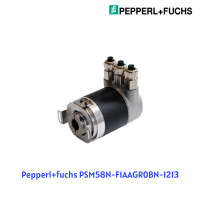 psm58n-f1aagr0bn-1213-pepperl-fuchs-vietnam.png